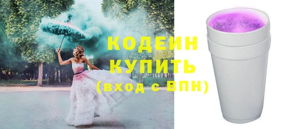 стаф Дмитриев