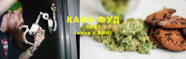 стаф Дмитриев