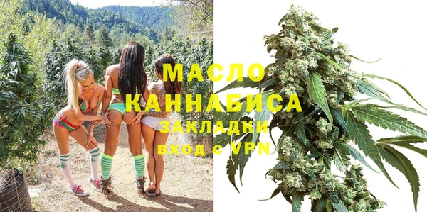 стаф Дмитриев