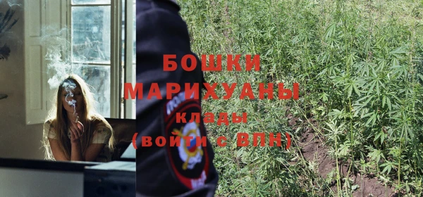 кокс Дмитров