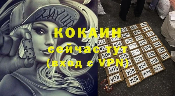 стаф Дмитриев