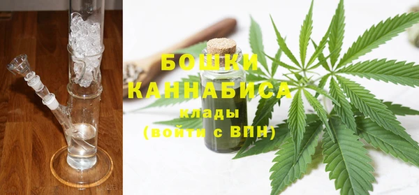 стаф Дмитриев