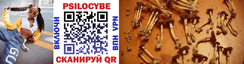 Псилоцибиновые грибы Psilocybine cubensis Николаевск